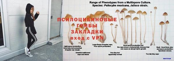 MDMA Premium VHQ Володарск