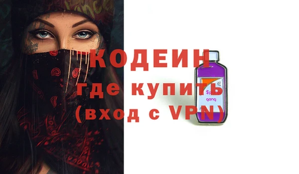 крисы Новодвинск
