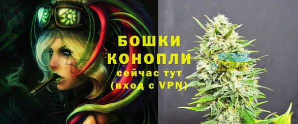 мдма Новозыбков