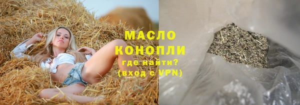 крисы Новодвинск