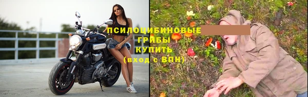 альфа пвп Новокубанск