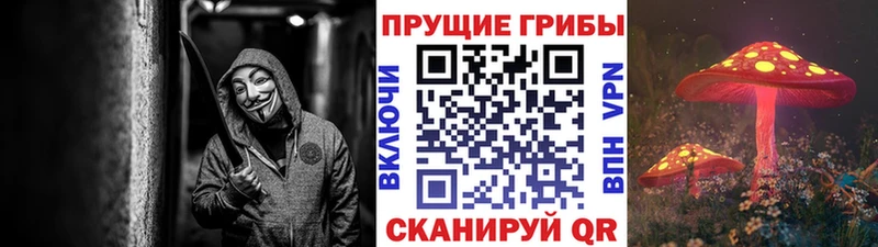 Галлюциногенные грибы Magic Shrooms где купить наркоту Бабаево