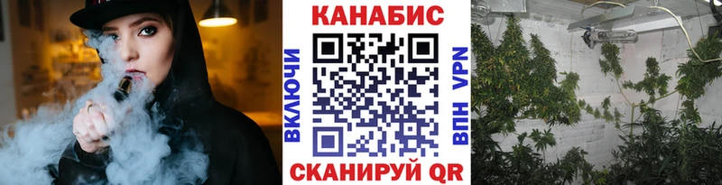 shop какой сайт Бабаево Шишки марихуана MAZAR